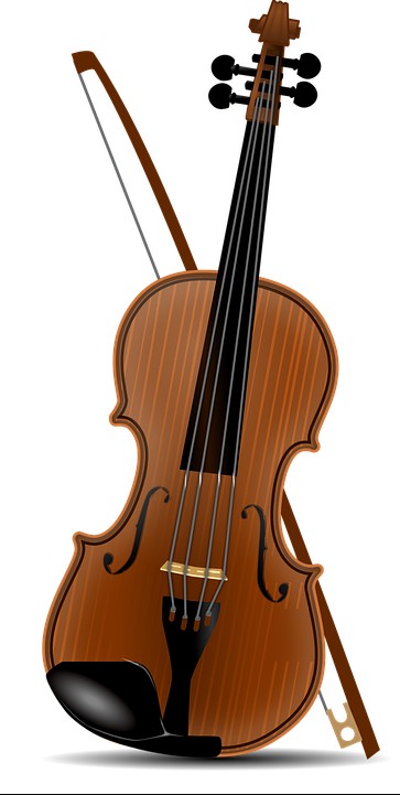 Violin/Fiddle Family